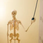 Dekorative Figur in den Praxisräumen des PhysioTeam HB in Bad Fallingbostel